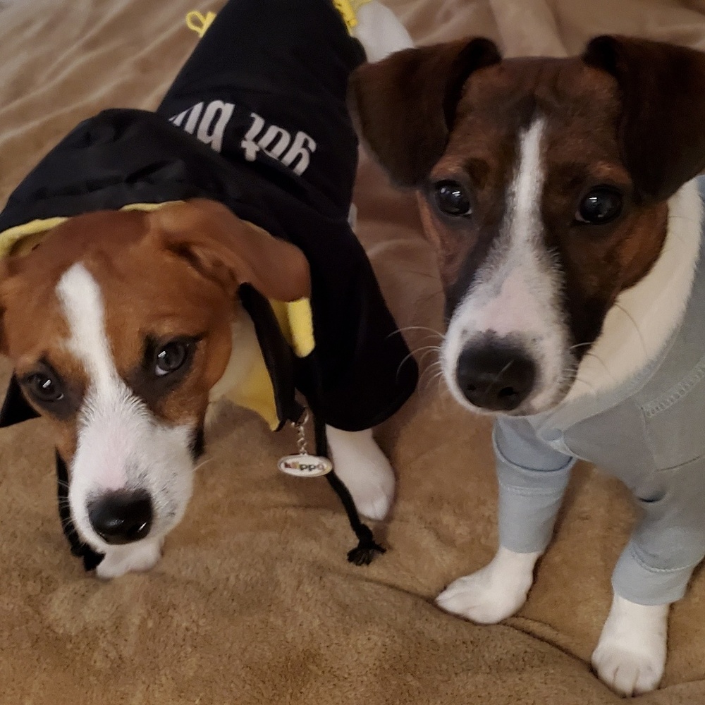 Meet your Posher, Shari 🌸 - Picture 5 of 5